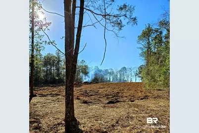 11040 County Road 138, Bay Minette, AL 36507 - Photo 4