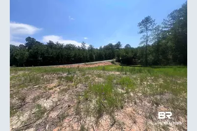 0 Farrington Lane, Spanish Fort, AL 36527 - Photo 4