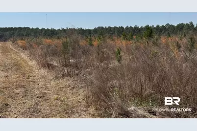 8 County Road 64, Robertsdale, AL 36567 - Photo 20