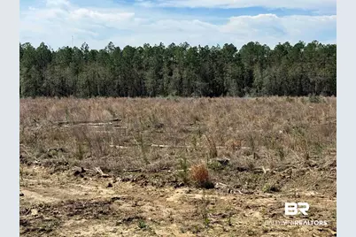 8 County Road 64, Robertsdale, AL 36567 - Photo 26