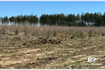 8 County Road 64, Robertsdale, AL 36567 - Photo 12