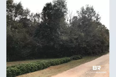 24050 N River Road, Daphne, AL 36526 - Photo 2