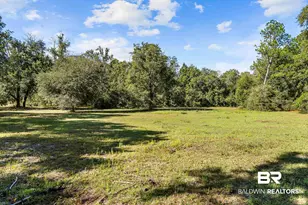 22506 Doc McDuffie Rd, Foley, AL 36535 - Photo 48