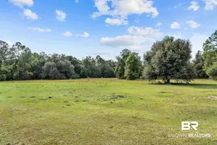 22506 Doc McDuffie Rd, Foley, AL 36535 - Photo 54
