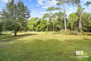 22506 Doc McDuffie Rd, Foley, AL 36535 - Photo 52