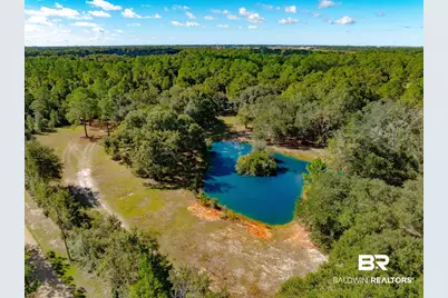 22506 Doc McDuffie Road, Foley, AL 36535 - Photo 66