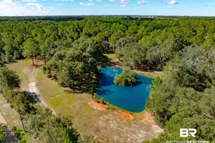 22506 Doc McDuffie Rd, Foley, AL 36535 - Photo 66
