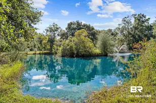 22506 Doc McDuffie Rd, Foley, AL 36535 - Photo 8