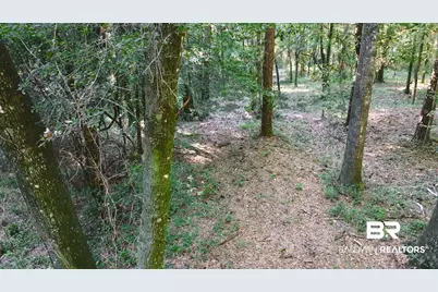 0 Old County Road, Daphne, AL 36526 - Photo 6