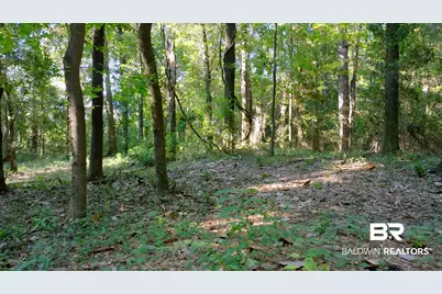 0 Old County Road, Daphne, AL 36526 - Photo 8