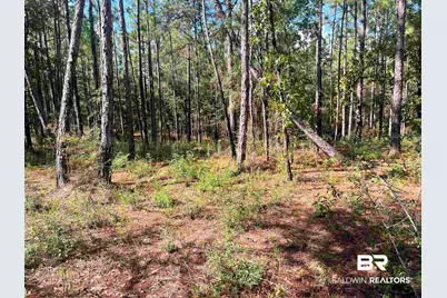 0 State Highway 225, Bay Minette, AL 36507 - Photo 6