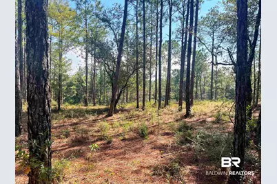 0 State Highway 225, Bay Minette, AL 36507 - Photo 4