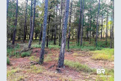 0 State Highway 225, Bay Minette, AL 36507 - Photo 8