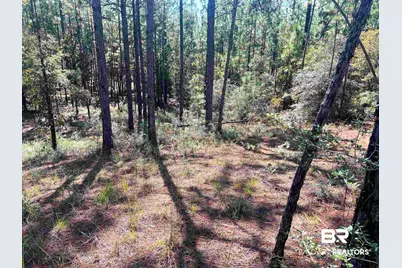 0 State Highway 225, Bay Minette, AL 36507 - Photo 6