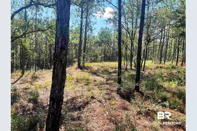 0 State Highway 225, Bay Minette, AL 36507 - Photo 2