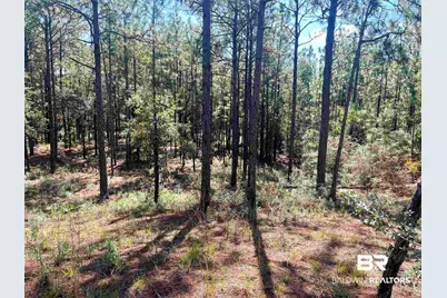 0 State Highway 225, Bay Minette, AL 36507 - Photo 4
