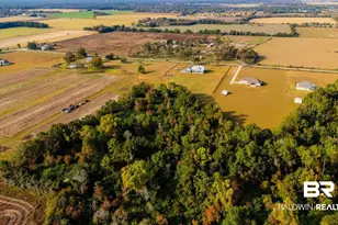 17264 Co Rd 28, Foley, AL 36535 - Photo 52