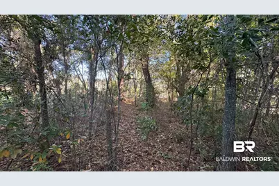 0 Red Eagle Drive, Daphne, AL 36526 - Photo 8