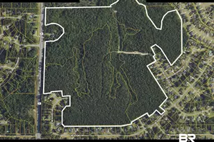 0 Schillinger Rd, Mobile, AL 36695 - Photo 1