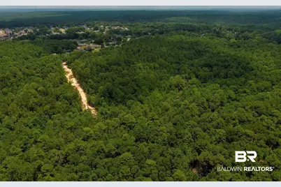 0 Schillinger Road, Mobile, AL 36695 - Photo 6