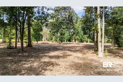 0 E Azalea Avenue, Foley, AL 36535 - Photo 20