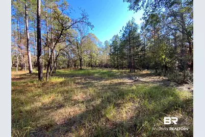 10 Drinkard Road, Bay Minette, AL 36507 - Photo 10