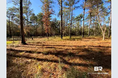 10 Drinkard Road, Bay Minette, AL 36507 - Photo 1