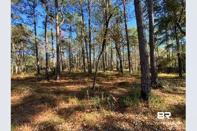 10 Drinkard Road, Bay Minette, AL 36507 - Photo 6