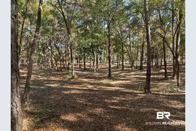 12800 Oak Tree Drive, Foley, AL 36535 - Photo 68