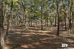 12800 Oak Tree Dr, Foley, AL 36535 - Photo 68