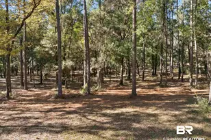12800 Oak Tree Dr, Foley, AL 36535 - Photo 70