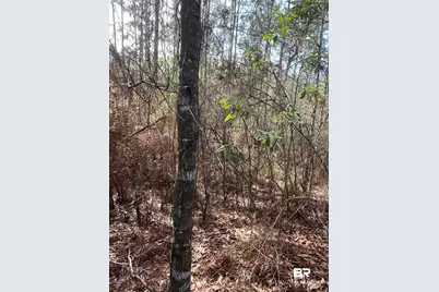0 Jimmy Faulkner Drive, Spanish Fort, AL 36527 - Photo 8