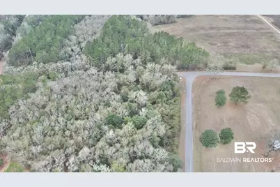3000 Block N Pine Barren Road, McDavid, FL 32568 - Photo 10