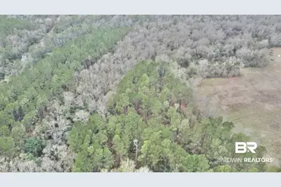 3000 Block N Pine Barren Road, McDavid, FL 32568 - Photo 12