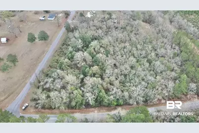3000 Block N Pine Barren Road, McDavid, FL 32568 - Photo 8