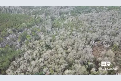 3000 Block N Pine Barren Road, McDavid, FL 32568 - Photo 14