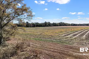 0 US Hwy 98, Elberta, AL 36530 - Photo 1