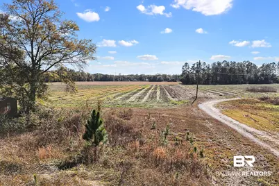 0 US Highway 98, Elberta, AL 36530 - Photo 4