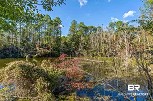 32771 Antietam Rd, Lillian, AL 36549 - Photo 42