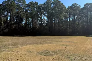 22483 Beaver Creek Ln, Orange Beach, AL 36561 - Photo 1