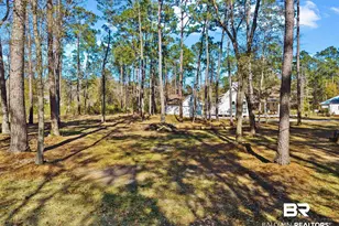 11830 Dogwood Dells Circle, Foley, AL 36535 - Photo 58