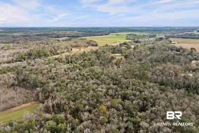 20929 Oak Ridge Drive, Robertsdale, AL 36567 - Photo 4