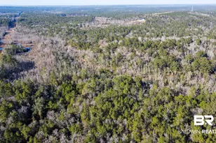 9510 D'Olive Rd, Spanish Fort, AL 36527 - Photo 26