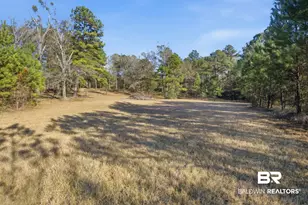 9510 D'Olive Rd, Spanish Fort, AL 36527 - Photo 12