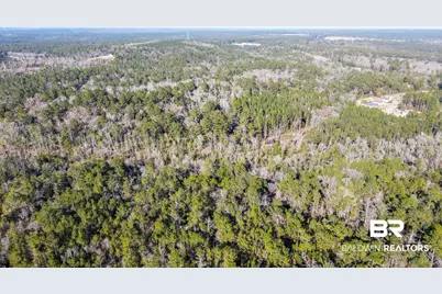 9510 D'Olive Road, Spanish Fort, AL 36527 - Photo 24