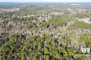 9510 D'Olive Rd, Spanish Fort, AL 36527 - Photo 24