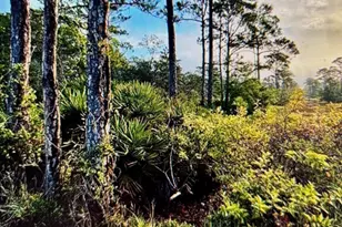 0 Gulf Crest Dr, Gulf Shores, AL 36542 - Photo 1