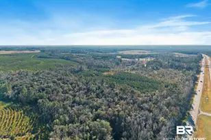 55750 Lottie Rd, Perdido, AL 36562 - Photo 6