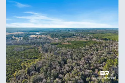 55750 Lottie Road, Perdido, AL 36562 - Photo 4