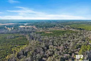 55750 Lottie Rd, Perdido, AL 36562 - Photo 4